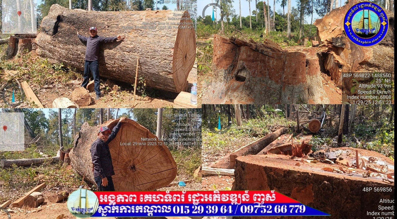 មហន្តរាយនៃព្រៃឈេីដ៏ធំ កំពុងកើតមានឡេីង នៅតំបន់ដែនជម្រកសត្វព្រៃ ព្រៃឡង់ ខេត្តស្ទឹងត្រែង..