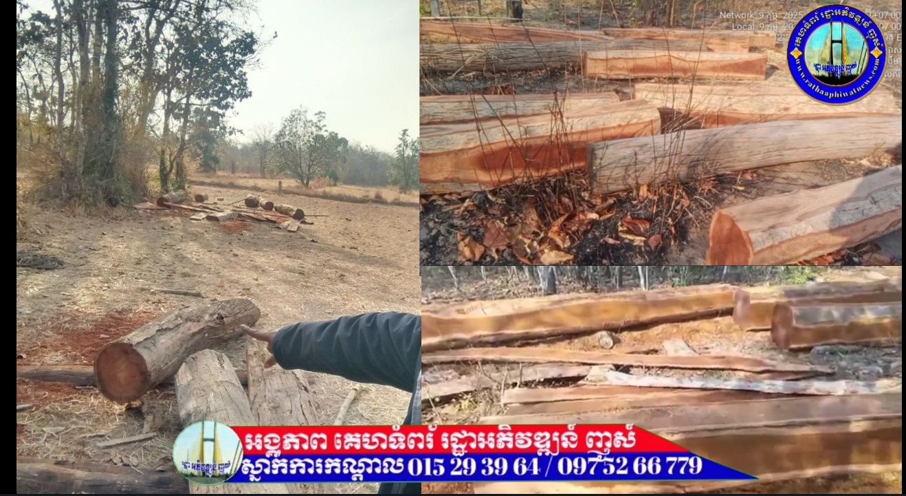 គេប្រទះឃើញ កំនរឈើប្រណិតជាច្រើនពុំនូក ដែលគេដឹងថា ជារបស់មេឈ្មួញឈើឈ្មោះ ជុំ វុទ្ធី ហៅលោកធីកាប៉ូ និងលោក ហាច នៅក្នុងព្រៃដែនជម្រកសត្វព្រៃ ភ្នំព្រិច ត្រៀមធ្វើសកម្មភាពដឹកជញ្ជូនចេញ តាមផ្លូវរលួសស្រែជិះ ស្រុកអូរគ្រៀងសែនជ័យ…(វគ្គ២)