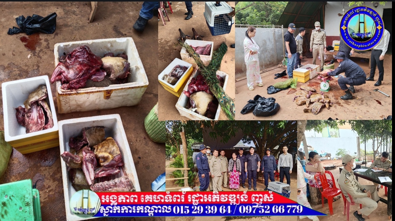 សមត្ថកិច្ច និងជំនាញពាក់ព័ន្ធ ចុះចាប់បង្ក្រាបបទល្មើសសត្វព្រៃ..