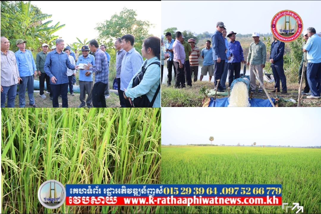 ឯកឧត្តម គួច ចំរើន អភិបាលខេត្តកណ្ដាល ដឹកនាំមន្ត្រីជំនាញ និងអាជ្ញាធរមូលដ្ឋាន ចុះពិនិត្យការបូមទឹកសង្គ្រោះស្រូវរបស់ប្រជាកសិករដែលកំពុងតែរងនូវការខ្វះខាតទឹក ក្នុងស្រុកមុខកំពូល ខេត្តកណ្ដាល