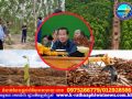 សម្តេចតេជោ ហ៊ុន សែន គាំទ្រការវិនិយោគដាំដើមប្រេងខ្យល់ នៅភូមិសាស្ត្រខេត្តក្រចេះ