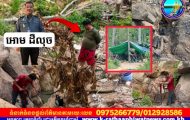 មន្ត្រីប៉េអឹមខេត្តកំពង់ធំ ឈ្មោះ អោម ដឺលុច បានស៊ីឈ្នួលដឹកជញ្ជូនមនុស្សទៅខួងរុករករ៉ែមាស បំផ្លិចបំផ្លាញធនធានធម្មជាតិក្នុងដែនជម្រកសត្វព្រៃ”ភ្លេចតួនាទីខ្លួន”..? វគ្គ២