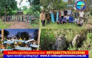 អាជ្ញាធរស្រុកទាំង៣ ក្នុងខេត្តព្រះវិហារ ចុះអន្តរាគមន៍បន្ទាន់ និងពង្រឹងសុវត្ថិភាពពលរដ្ឋ ក្រោយហ្វូងដំរីព្រៃ៦ក្បាល វាយប្រហារបណ្តាលឱ្យមានមនុស្សស្លាប់ និងរបួស